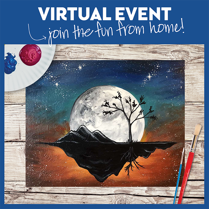 LIVE INTERACTIVE VIRTUAL CLASS